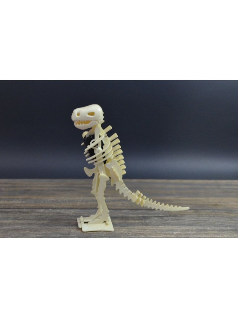 Tomy Dinosaur Skeleton T-Rex Tyrannosaurus Plastic Bone Wind-Up Toy Not Working